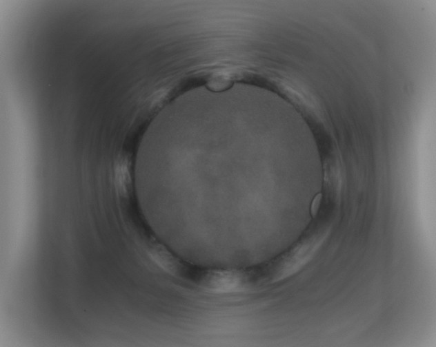 X0000110690127200906121233