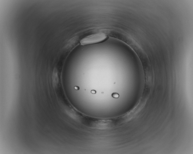 X0000110690128200906121233