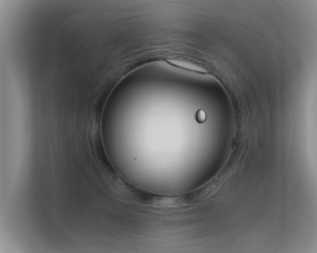 X0000110690129200906121233