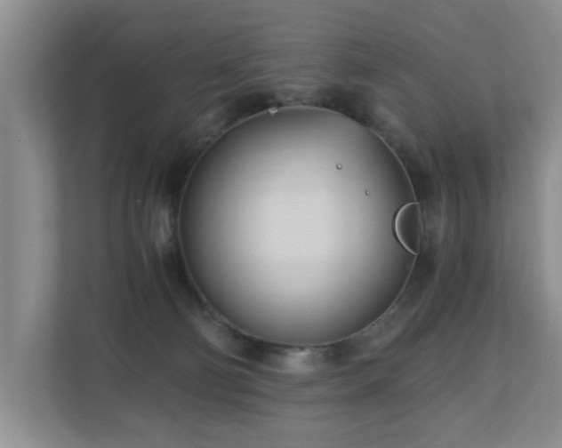 X0000110690130200906121233