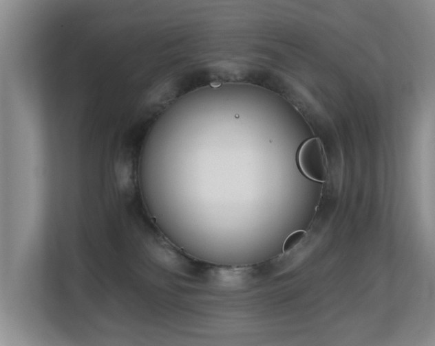 X0000110690134200906121233