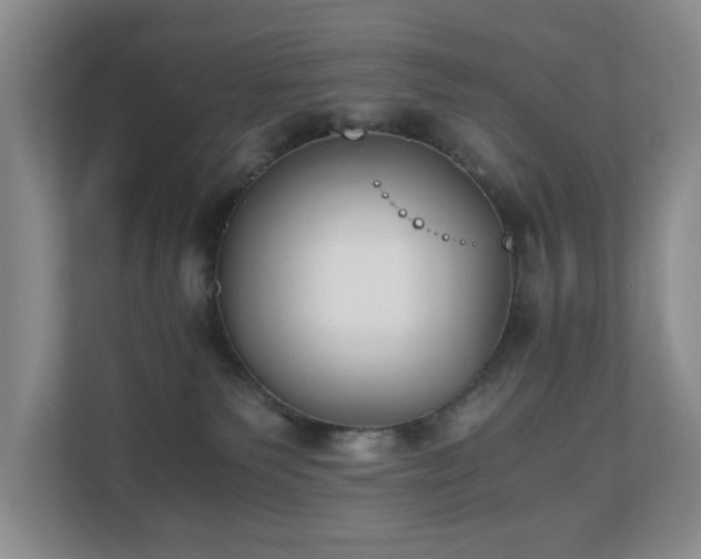 X0000110690135200906121233