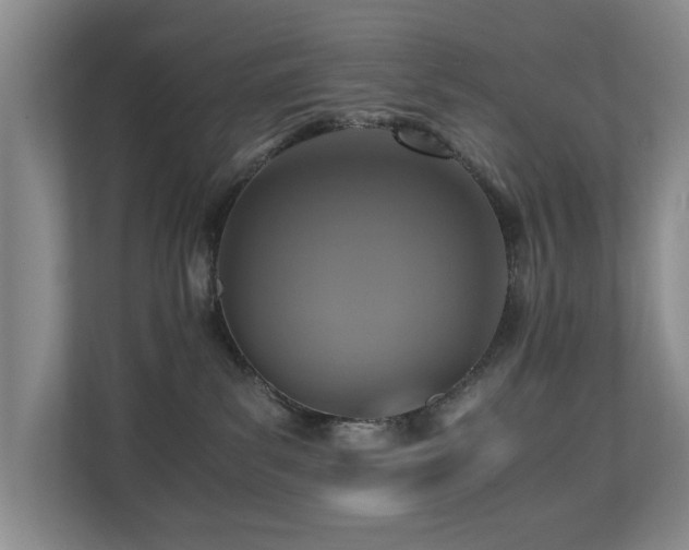 X0000110690139200906121233