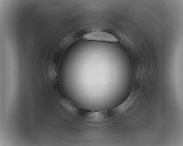 X0000110690140200906121233