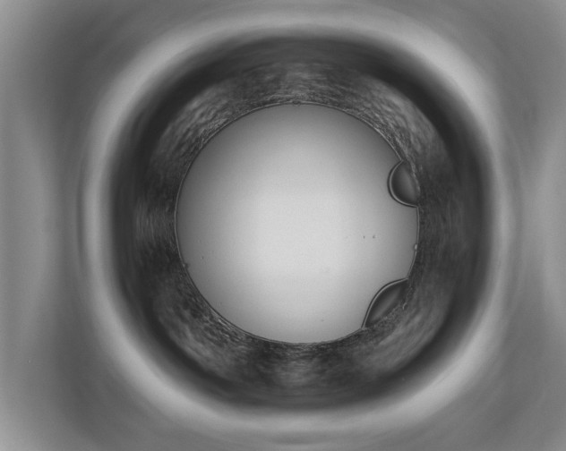 X0000110690142200906121233