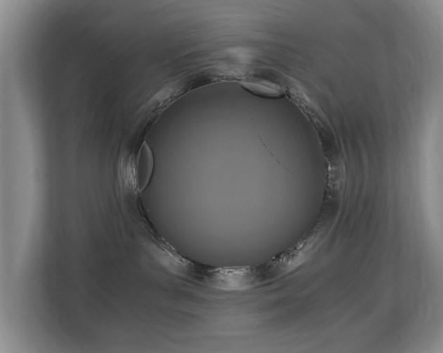 X0000110690143200906121233