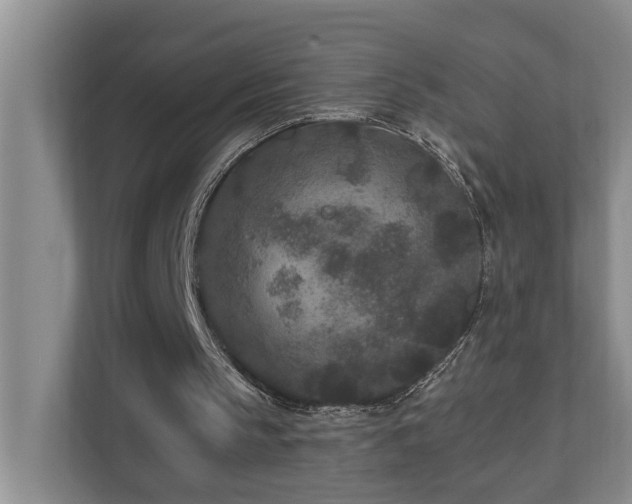 X0000110690145200906121233