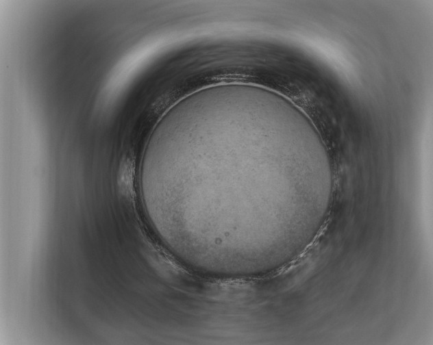 X0000110690146200906121233