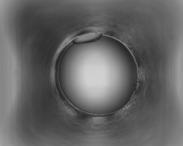 X0000110690150200906121233