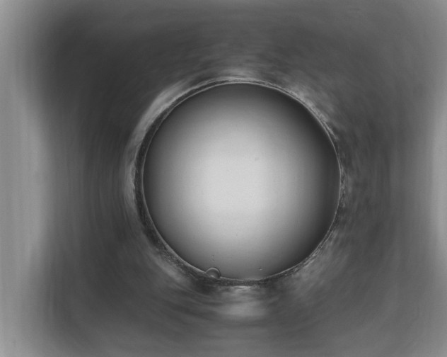 X0000110690151200906121233