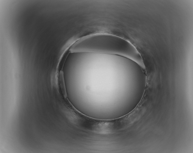 X0000110690152200906121233