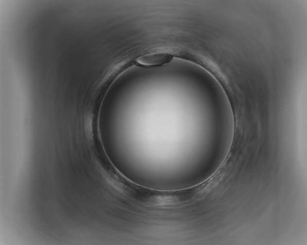 X0000110690154200906121233