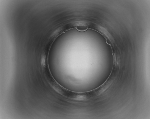 X0000110690157200906121233