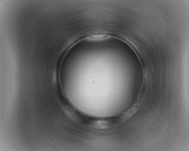 X0000110690158200906121233