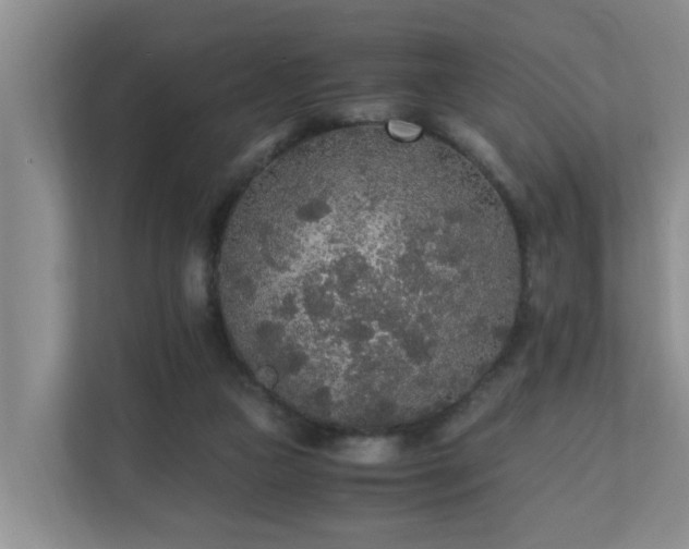 X0000110690161200906121233