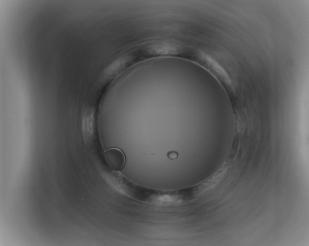 X0000110690163200906121233