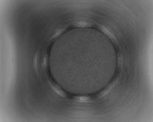 X0000110690165200906121233