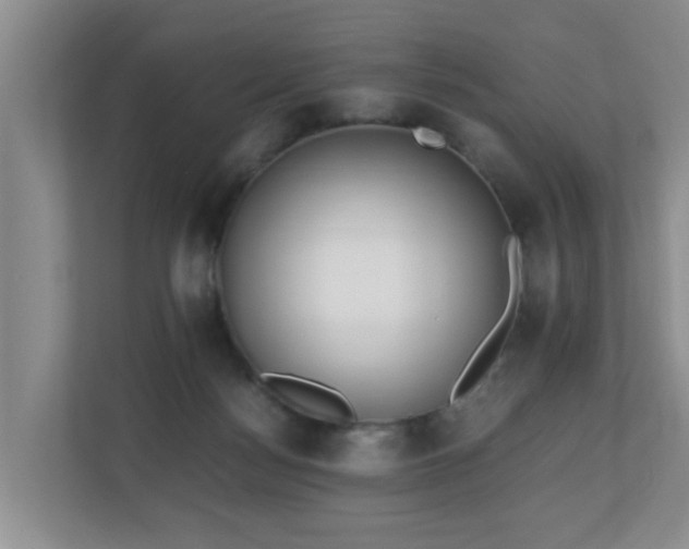 X0000110690172200906121233