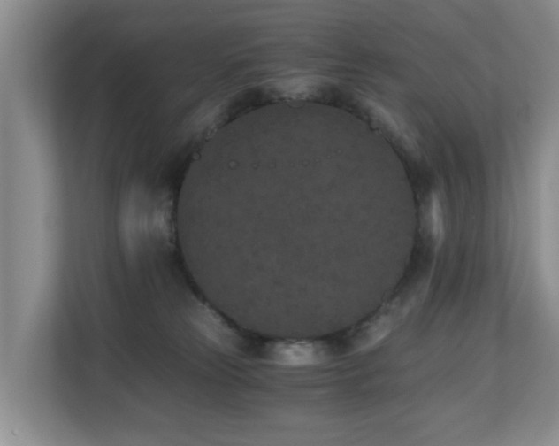 X0000110690181200906121233