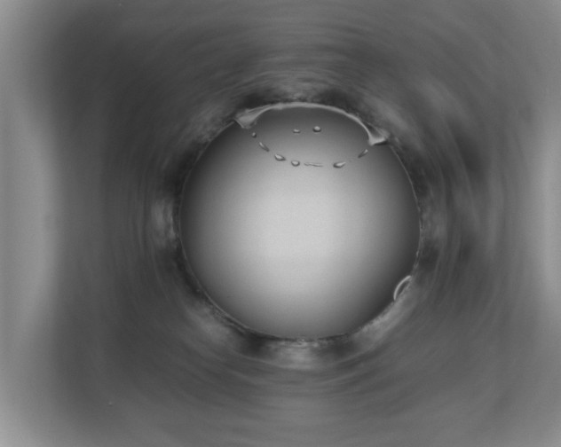 X0000110690182200906121233