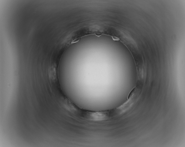 X0000110690183200906121233