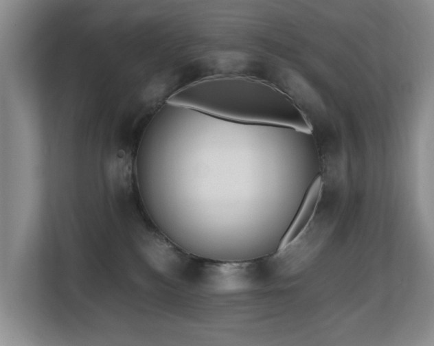 X0000110690184200906121233