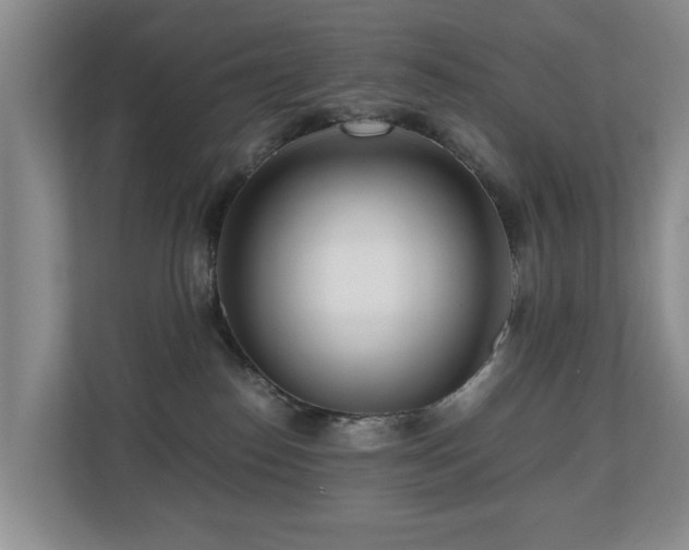 X0000110690186200906121233