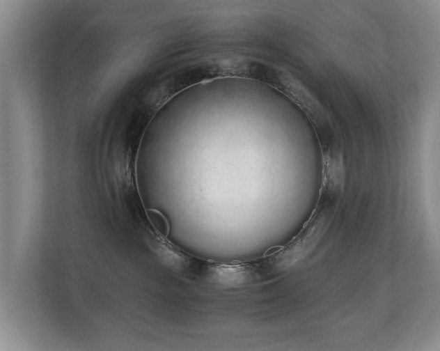 X0000110690189200906121233