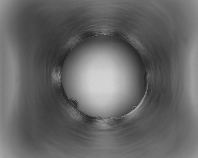 X0000110690190200906121233