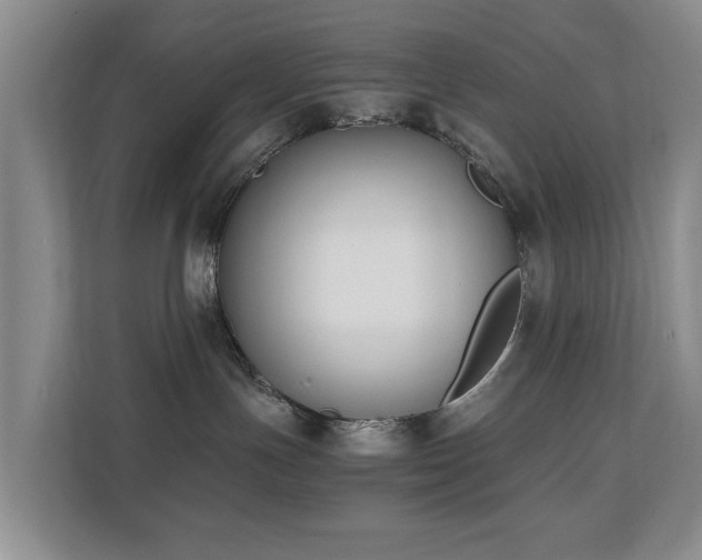 X0000110690191200906121233