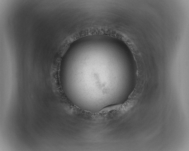 X0000110690192200906121233