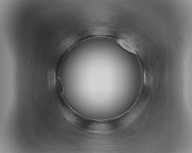 X0000110690205200906121232