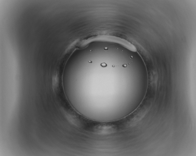 X0000110690208200906121232