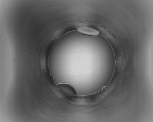 X0000110690209200906121232