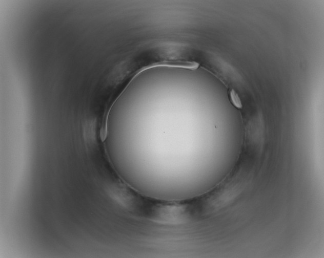 X0000110690217200906121232