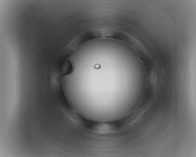 X0000110690218200906121232