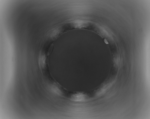 X0000110690219200906121232