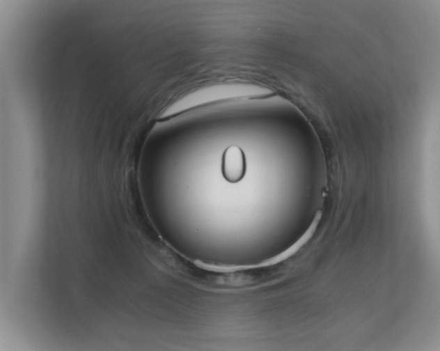 X0000110690225200906121232