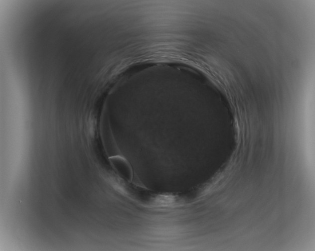 X0000110690227200906121232