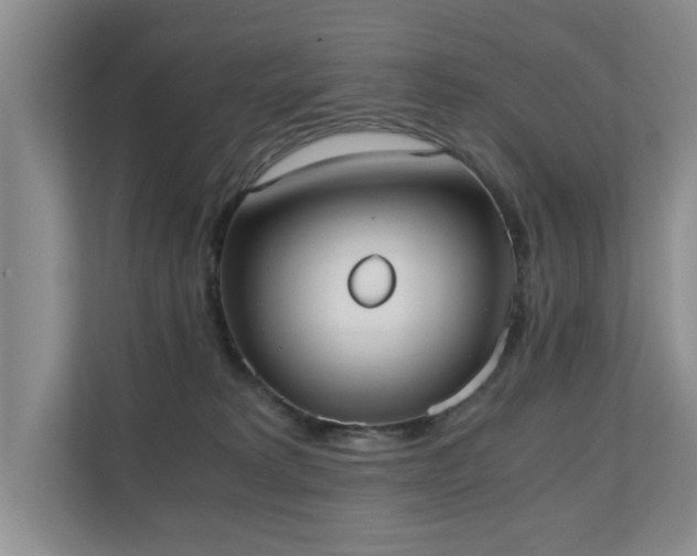 X0000110690229200906121232