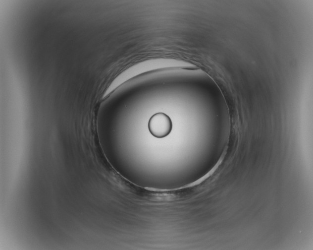 X0000110690233200906121232