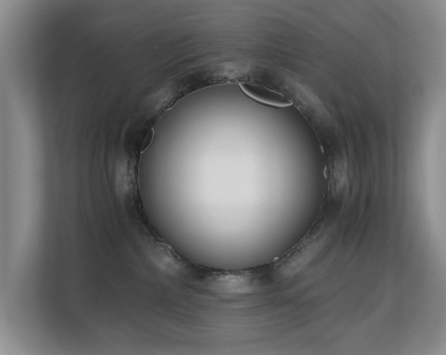 X0000110690236200906121232