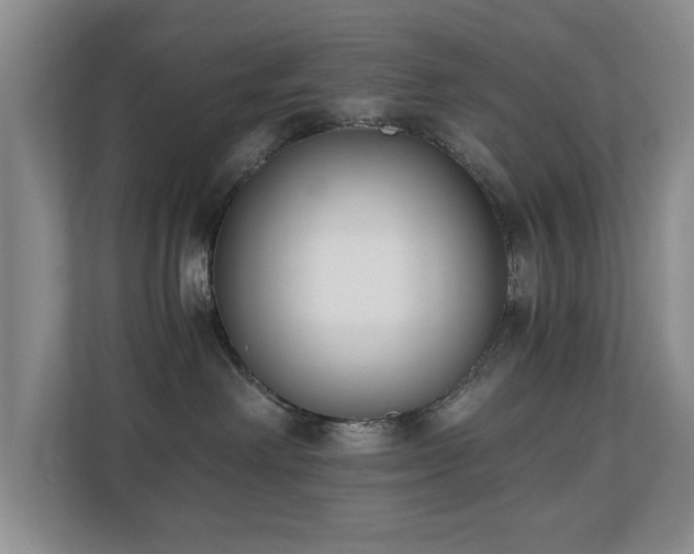 X0000110690238200906121232