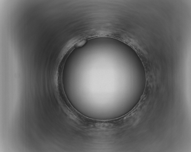 X0000110690242200906121231