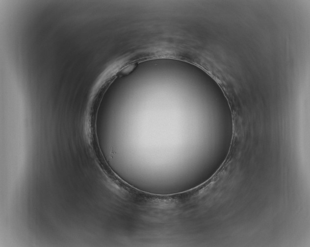 X0000110690245200906121231