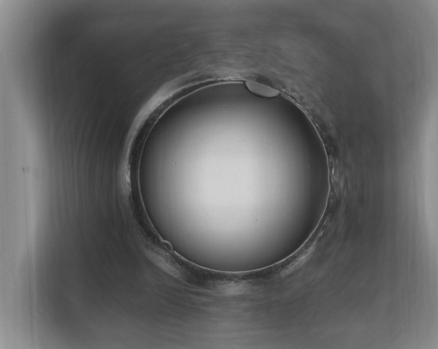 X0000110690246200906121231