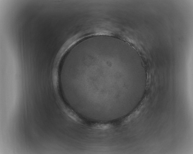 X0000110690247200906121231