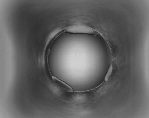 X0000110690248200906121231