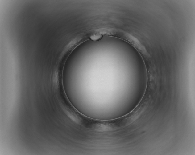 X0000110690250200906121231