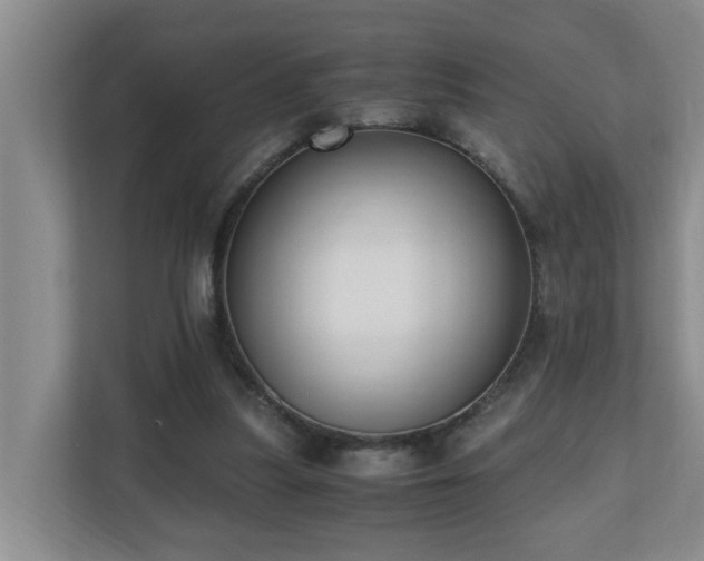 X0000110690251200906121232